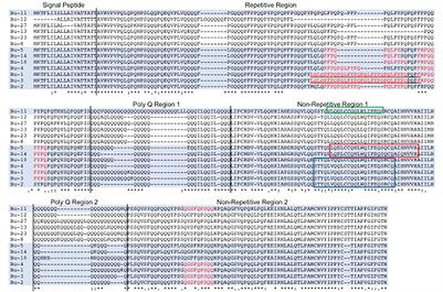 Reducing the Immunogenic Potential of Wheat Flour: Silencing of Alpha Gliadin Genes in a U.S. Wheat Cultivar